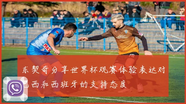 东契奇分享世界杯观赛体验表达对巴西和西班牙的支持态度